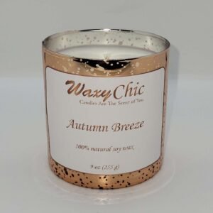 9oz_autumn_breeze_copper_mercury_tumbler